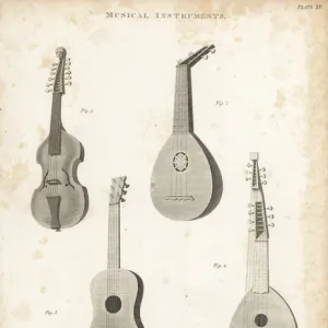 Viol d amour, mandore, Spanish guitar and lute