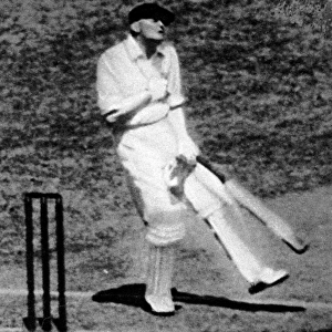 W. M. Woodfull struck by a cricket ball, Melbourne Cricket Gr