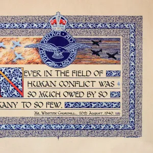 Battle of Britain Pillow Collection: RAF (Royal Air Force)