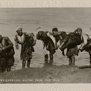 Water carriers with water from the Nile, Egypt