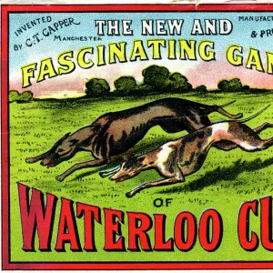 Waterloo Cup game