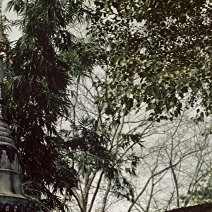 wayside pagoda - Rangoon