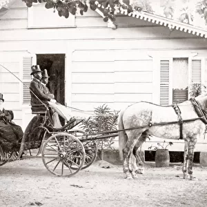 White couple in horse drawn buggy, Jamaica, c. 1890