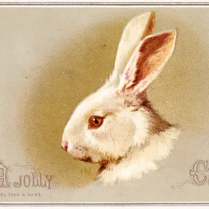 White rabbit in profile on a Christmas card