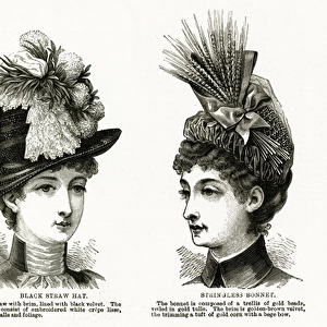 Women wearing victorain headwear 1886