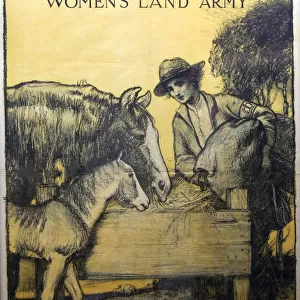Women WW1 Land Army