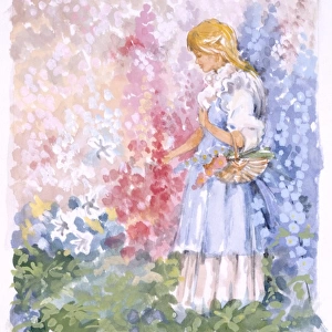 Young blonde girl picks flowers