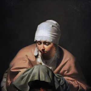 E Gallery: Cesar Boetius van Everdingen