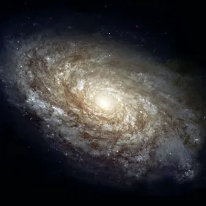 Magnificant Details in a Dusty Spiral Galaxy