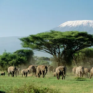 Kenya Premium Framed Print Collection: Kenya Heritage Sites