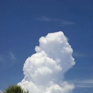 Cumulus storm cloud developing over ocean. Grand Bahama Island, Bahamas