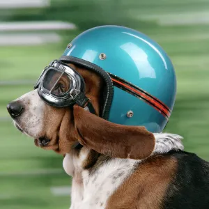 Hound Collection: Basset Hound