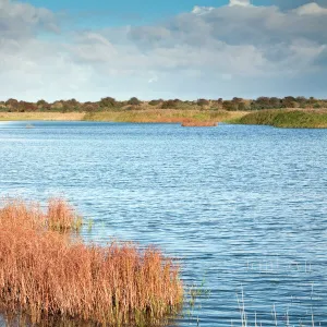 Gibraltar Point - National Naure Reserve - Lincolnshire - UK