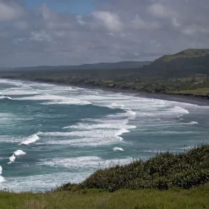 Muriwai beach, North Island, New Zealand. Wild area; good surfing beach