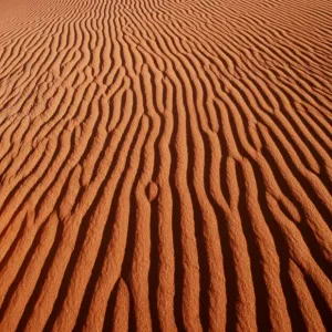 NAMIB DESERT - Sand Dunes