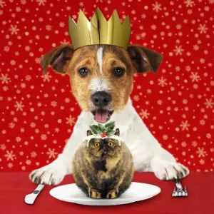 Christmas Party Dog Print Christmas Party Dog Print