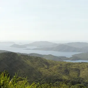 Images Dated 2011 February: 20 Feb 2011