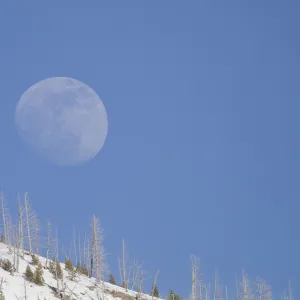 Images Dated 2011 February: 15 Feb 2011