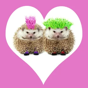 Punk girl and boy Hedgehog - in pink heart shaped frame. Manipulated image (hair extended & coloured. Jewellery added. Pink heart frame)