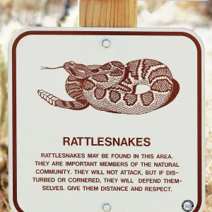 Rattlesnake Warning Sign