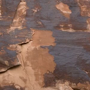 Rock varnish, formed on sandstone cliffs over long period by bacterial action, including deposition of manganese. Arches National Park, Utah