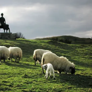 Sheep - grazing before the Henry Moore sculpture King & Queen Glenkiln Estate Sculpture Park, overlooking the Glenkiln reservoir, Dumfries Scotland