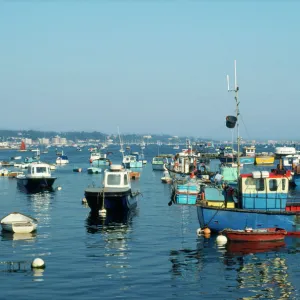 UK Poole Harbour, Dorset