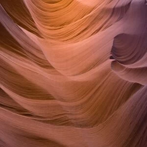 USA - Light that penetrates into the narrow canyon walls creates beautiful hues on the graceful curves of sandstone rock in the Lower Antelope Canyon, probably the most famous "slot canyon" in the Southwest. Antelope Canyon