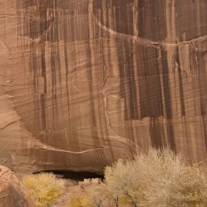 The White House ruin, in Canyon de Chelly National Monument, on Navajo tribal ground. 13th century ancestral puebloan indian cliff dwellings