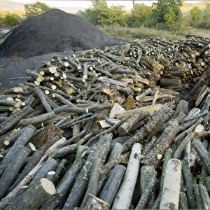 Wood-pile in the traditional charcoal-burner's yard at Viscri saxon village, Transylvania, Romania