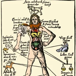 16th-century medical astrology