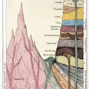 Mantell's Geological Strata Print 1838 Mantell's Geological Strata Print 1838