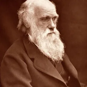 1874 Charles Darwin picture by Leonard