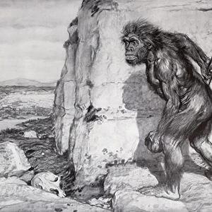 1909 First Neanderthal restoration crop