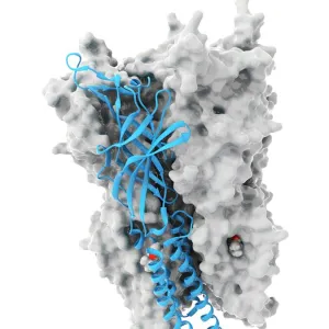 Anaesthetic inhibiting an ion channel C015 / 6718