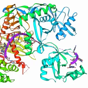 Argonaute protein and microRNA F006 / 9752