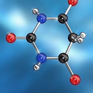 Barbituric acid molecule, artwork
