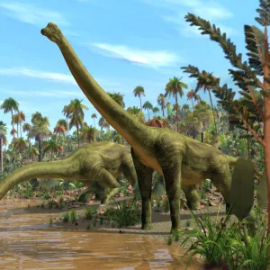 Brachiosaurus dinosaurs