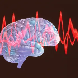 Brainwaves