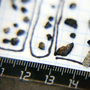 Chebarkul meteorite fragments research