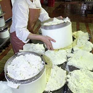 Cheese production, mould filling