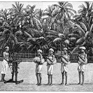Coconut rope production, 19th century