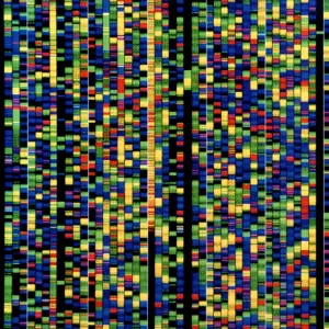 Computer screen showing a human genetic sequence