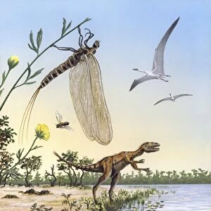 Cretaceous of Brazil, prehistoric scene C013 / 7112