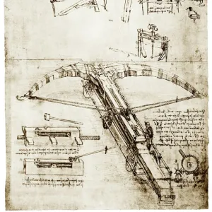 Da Vincis crossbow