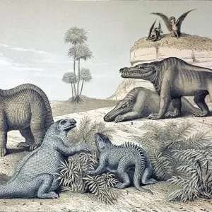 A large, hand-coloured lithograph print featuring a composite of two wall posters from 1862 A large, hand-coloured lithograph print featuring a composite of two wall posters from 1862