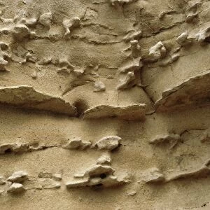 Eroded sandstone, Alberta