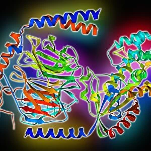Heterotrimeric G protein complex C013 / 7186