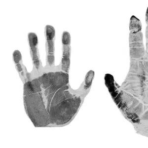 Human and gorilla handprint