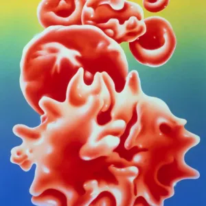 illustration of red blood cells in thalassaemia